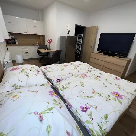 U Jelena 1 Apartment Cesky Krumlov