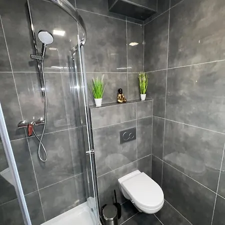 U Jelena 1 Apartment Cesky Krumlov