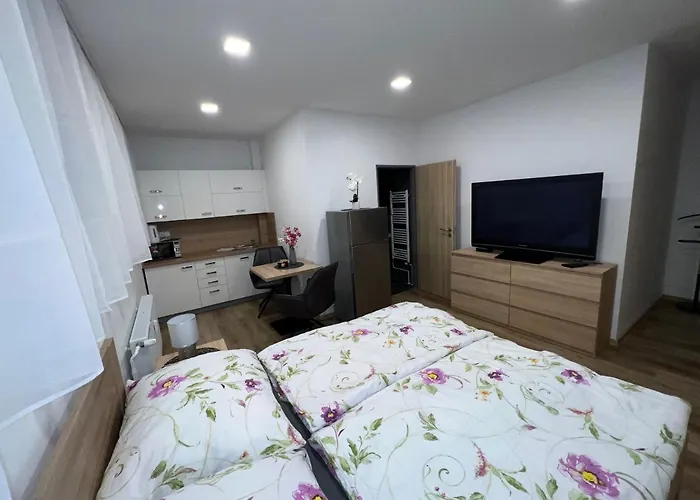 Апартаменты U Jelena 1 Чески-Крумлов