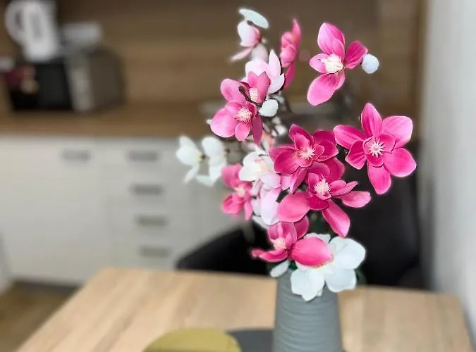 U Jelena 1 Чески-Крумлов