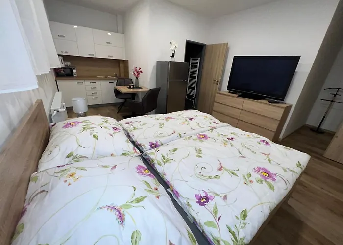 U Jelena 1 Апартаменты Чески-Крумлов