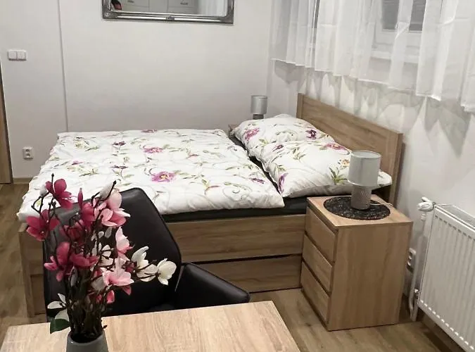 U Jelena 1 チェスキー クルムロフ